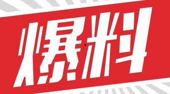獨家爆料,震驚內(nèi)幕，揭秘事件背后真相！