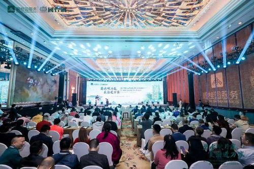 碧桂園國臺酒最新爆料,揭秘高端白酒市場新篇章