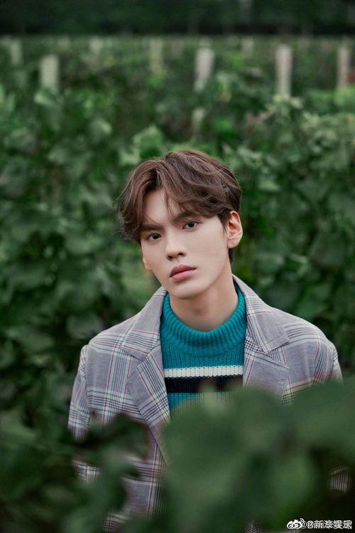 李一桐畢雯珺最新爆料,揭秘幕后故事與精彩瞬間