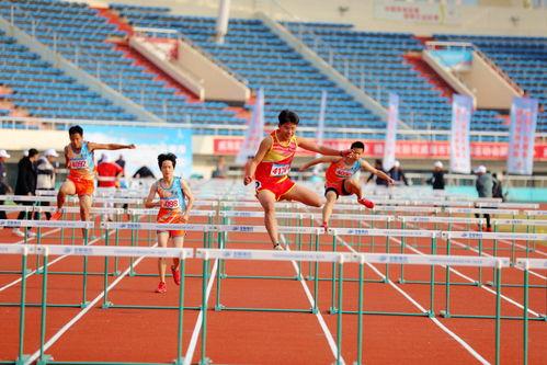 體育最新爆料2023,年度焦點事件大盤點