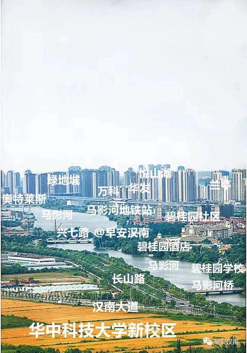 武漢漢南區最新爆料,揭秘區域發展新動態與民生焦點